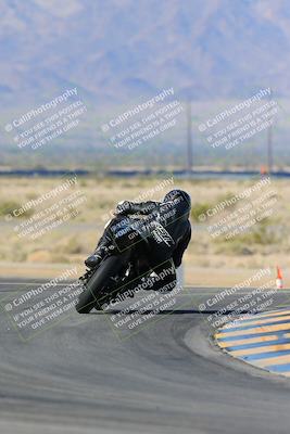 media/Feb-03-2024-SoCal Trackdays (Sat) [[767c60a41c]]/2-Turn 11 (10am)/